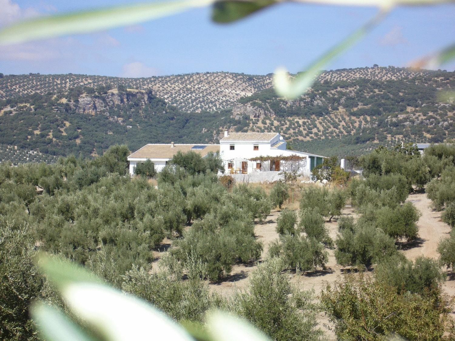 B&B Lasnavillasmm Монтефрио Екстериор снимка